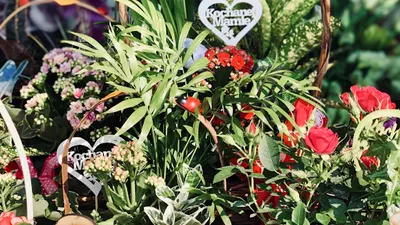 Kwiaciarnia Koperska Elżbieta